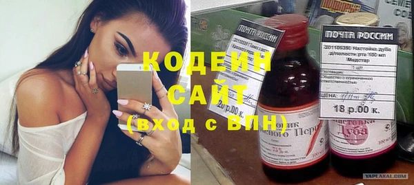 сатива Инта