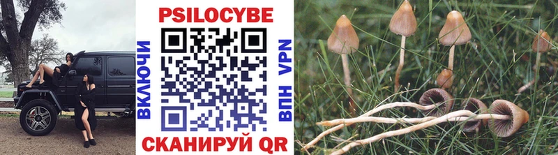 Галлюциногенные грибы Cubensis  Бежецк 
